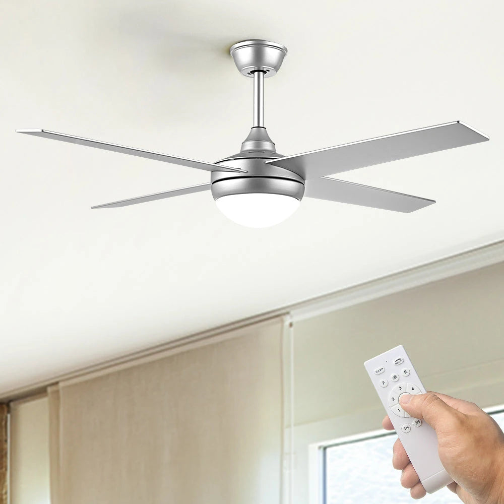 Ceiling Fans