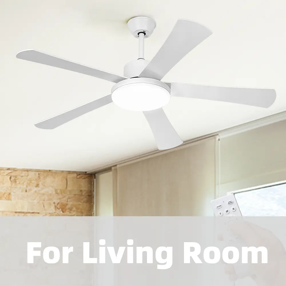 For Living Room