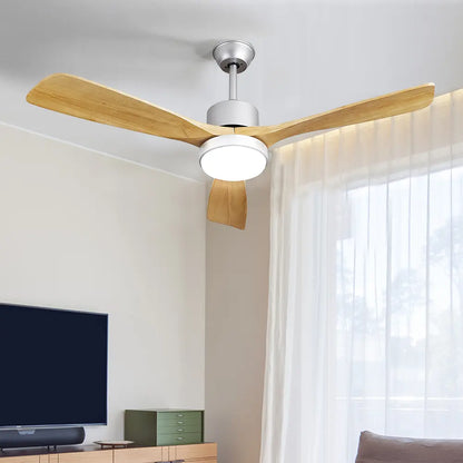Keegan 52" DC Ceiling Fan with LED Light