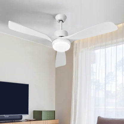 Keegan 52" DC Ceiling Fan with LED Light
